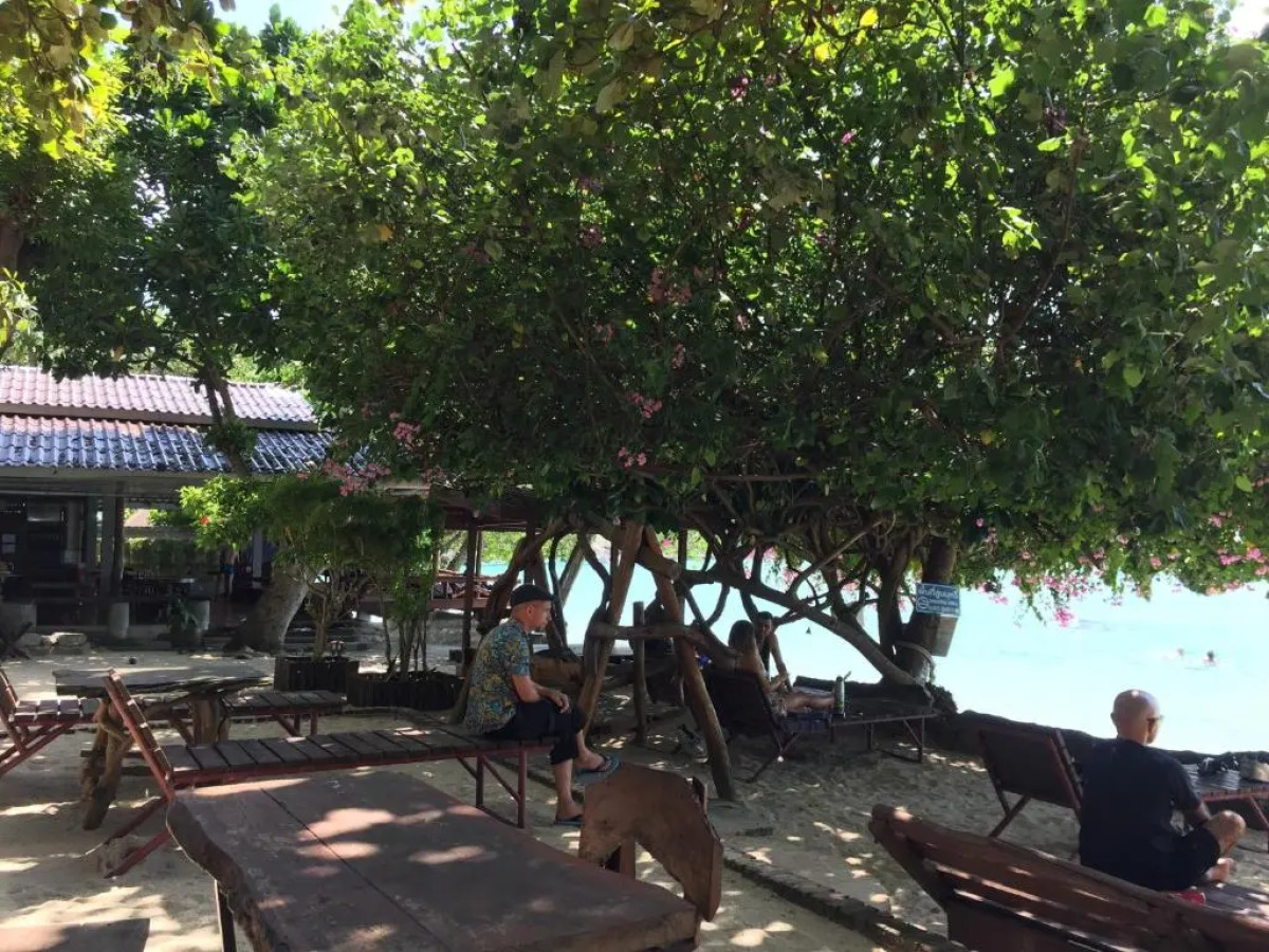 Big Fish Resort Koh Tao