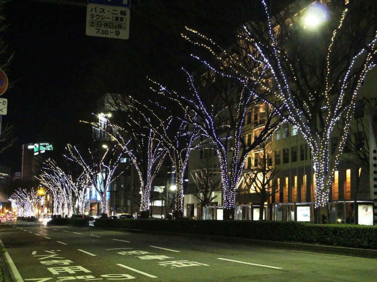 APA Hotel Toyama Ekimae Minami