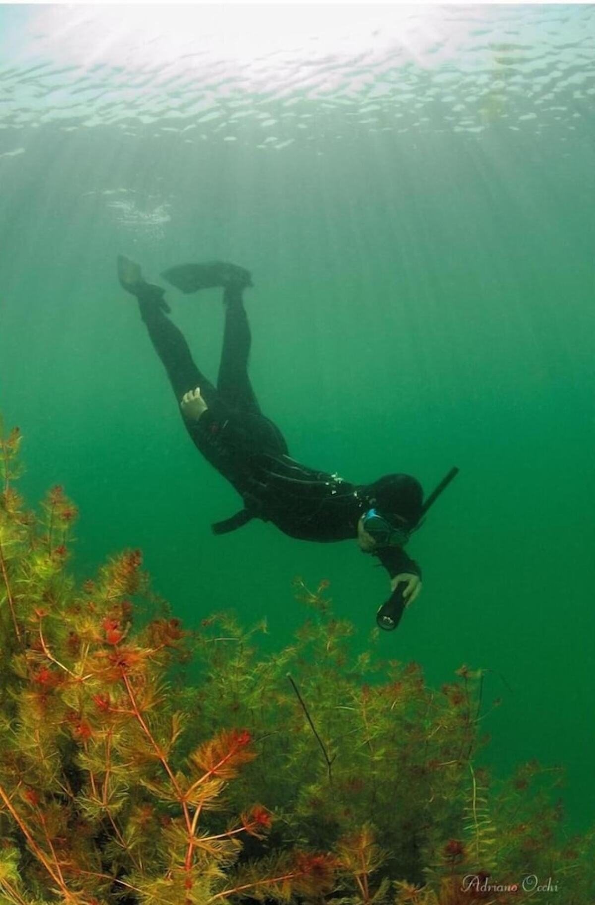 Agriturismo Due Laghi