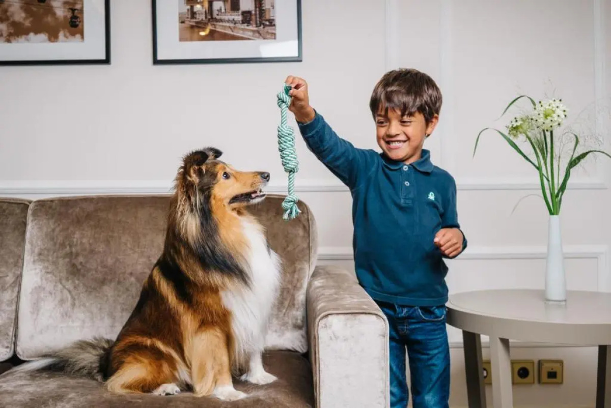 Excelsior Hotel Ernst am Dom