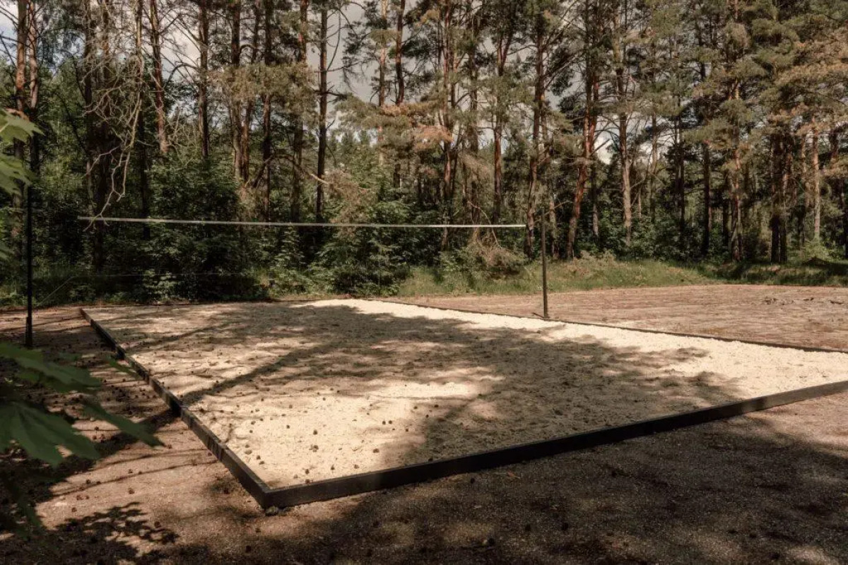 Вили Улей Ока