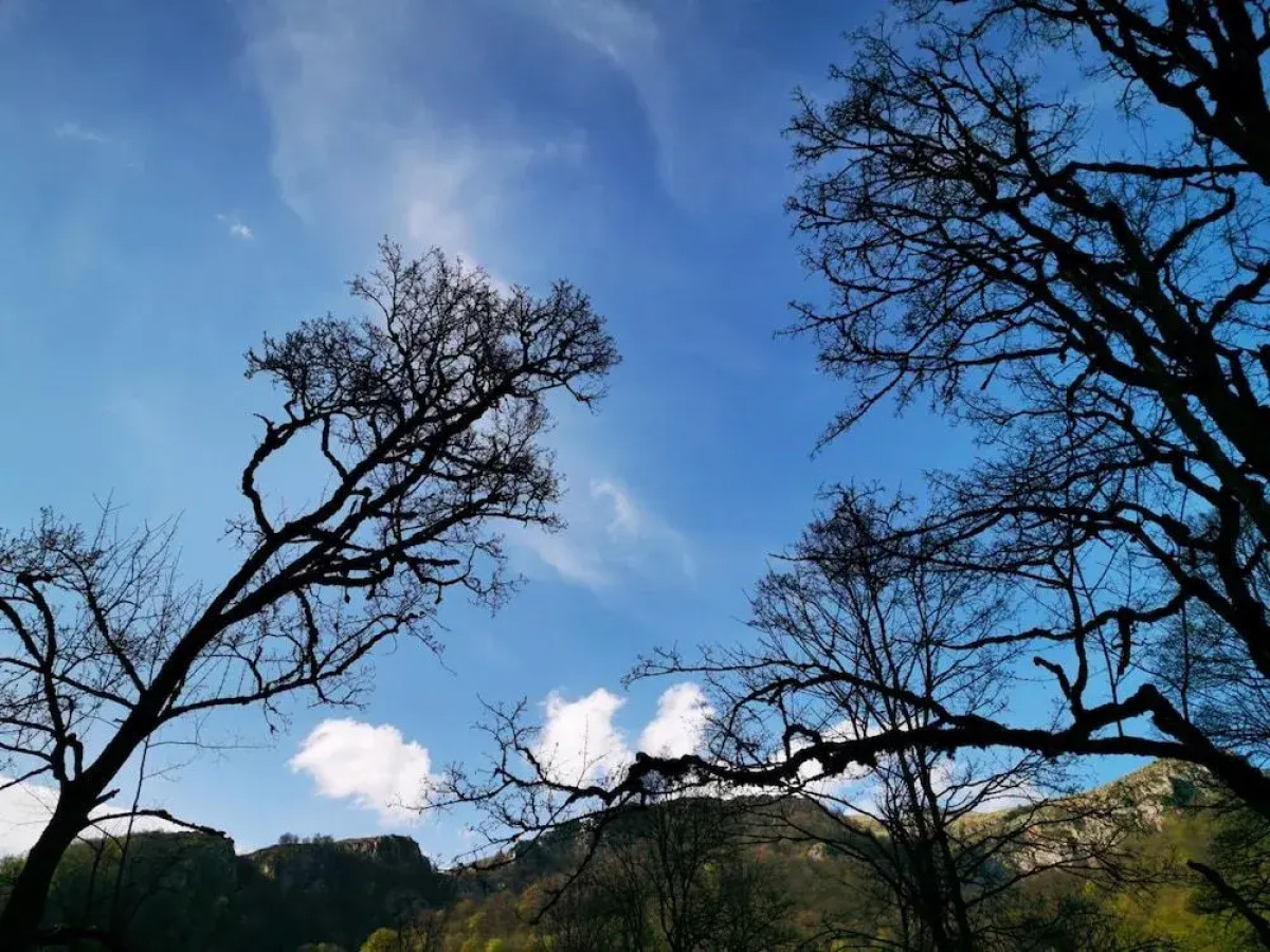 Отель Vanatun Monastery Stay