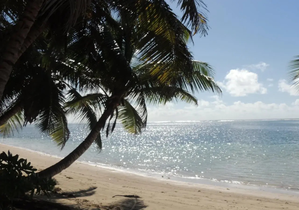 Reef Holiday Apartments