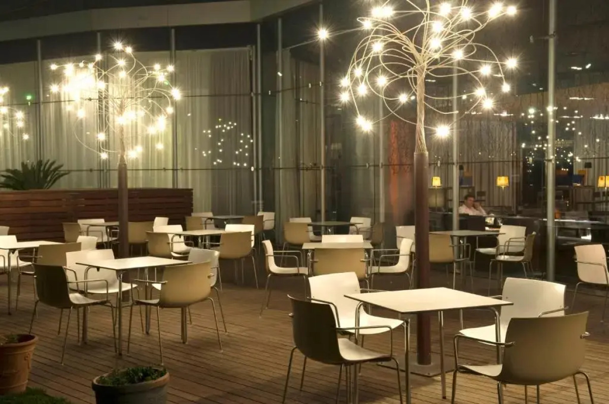 Alexandre Fira Congress