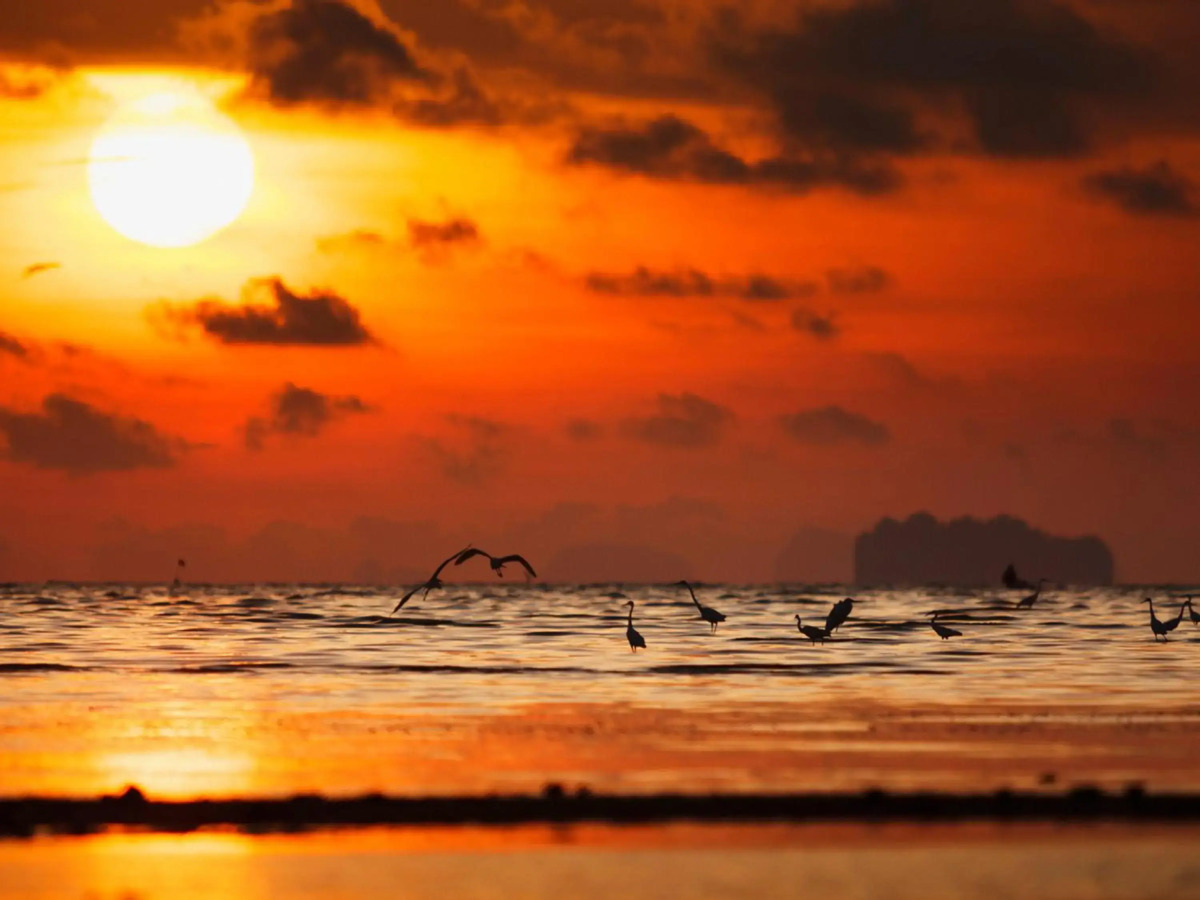 Отель ibis Styles Phuket City Hotel