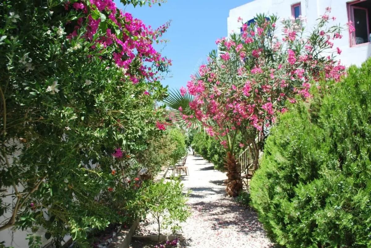 Serpina Hotel - Adults Only