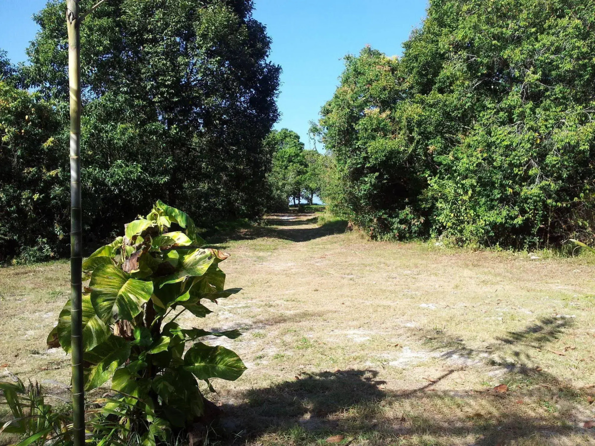 Tropical Resort Langkawi