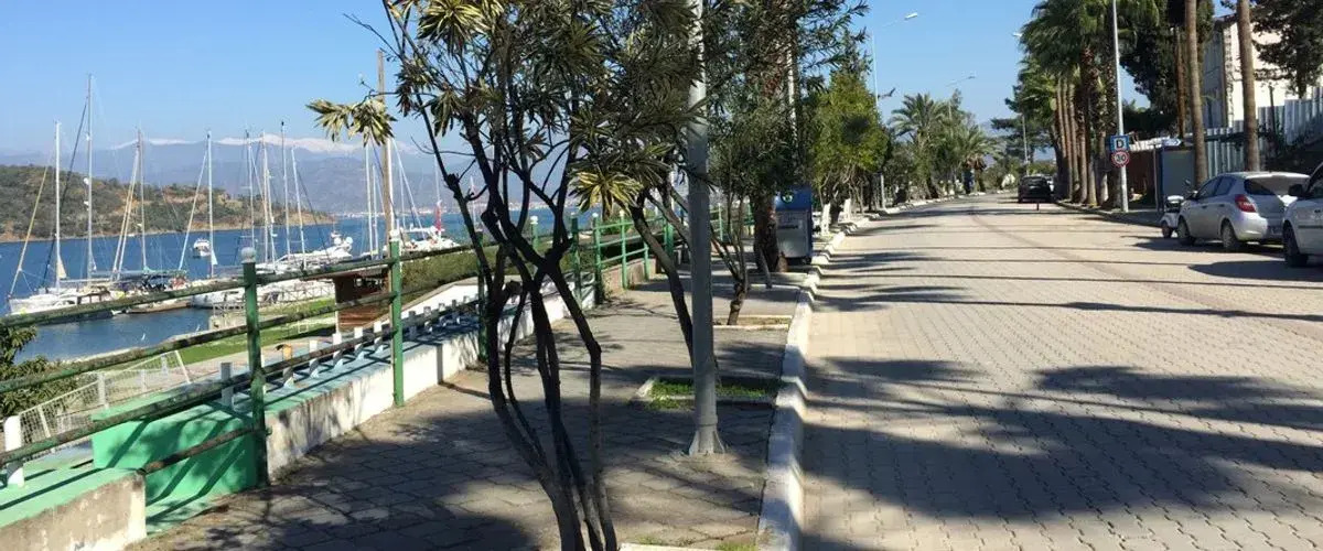 Villa Daffodil - Special Class