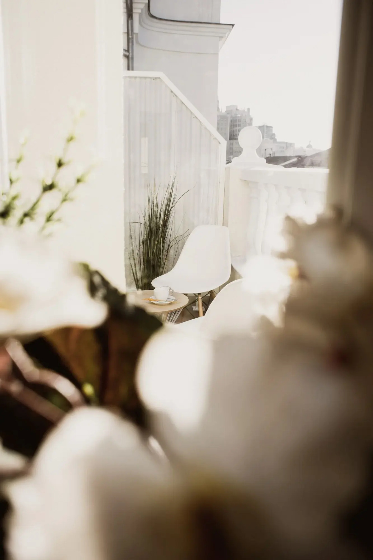 room00 Ventura Hostel