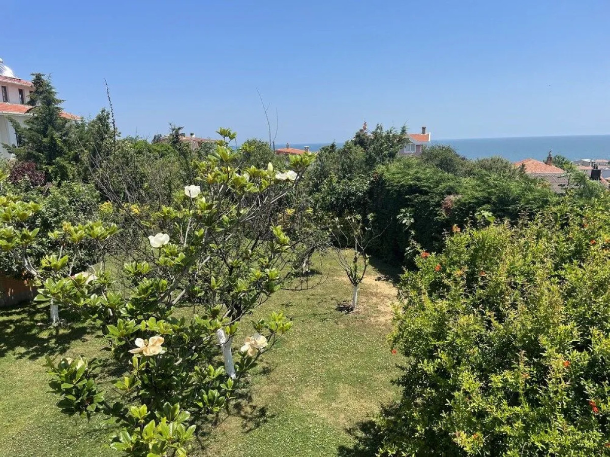 Treekos Suite Hotel Istanbul Airport