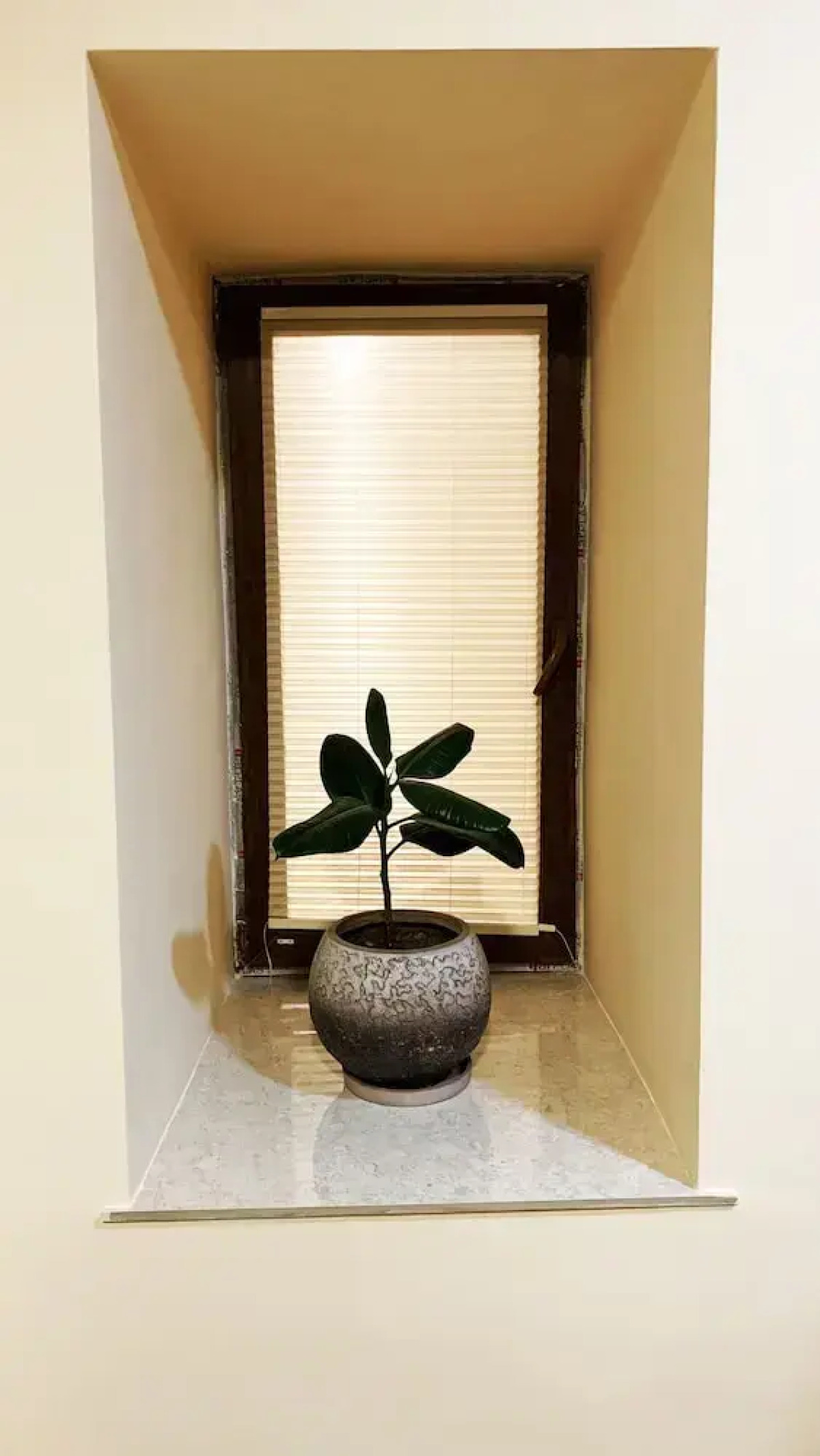 Domino Yerevan Hostel & Tours