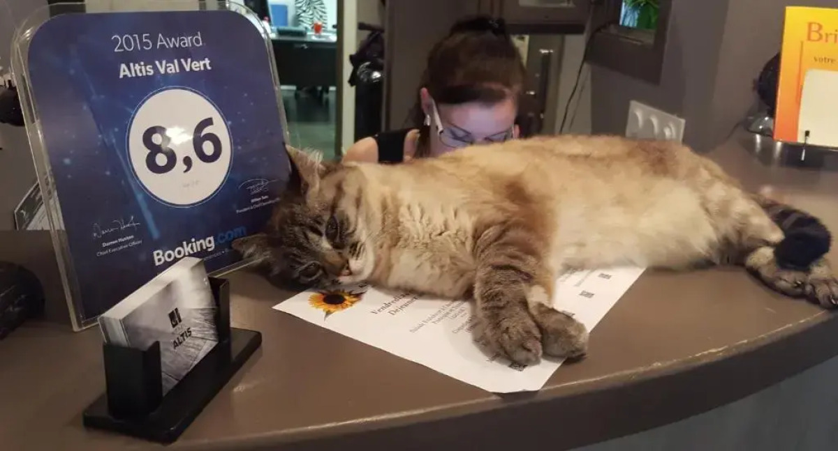 Hôtel Altis Val Vert