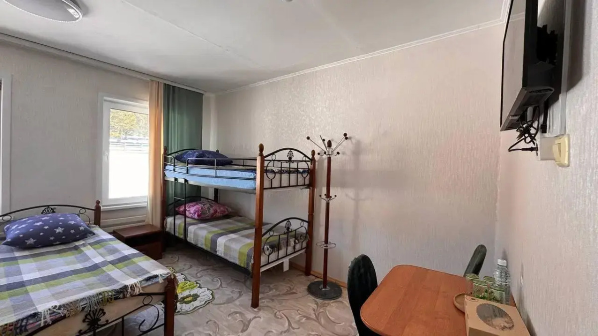 Кедр Золотой