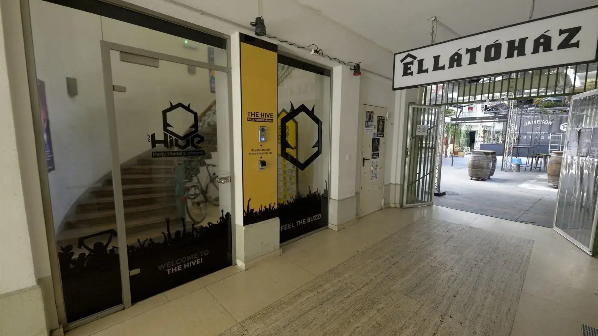 The Hive Party Hostel