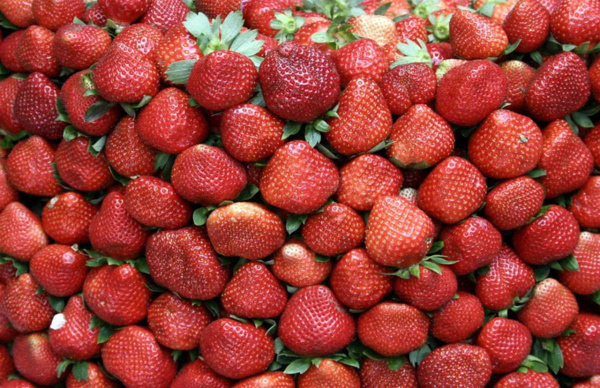 Hollywood Drive-In Hotel