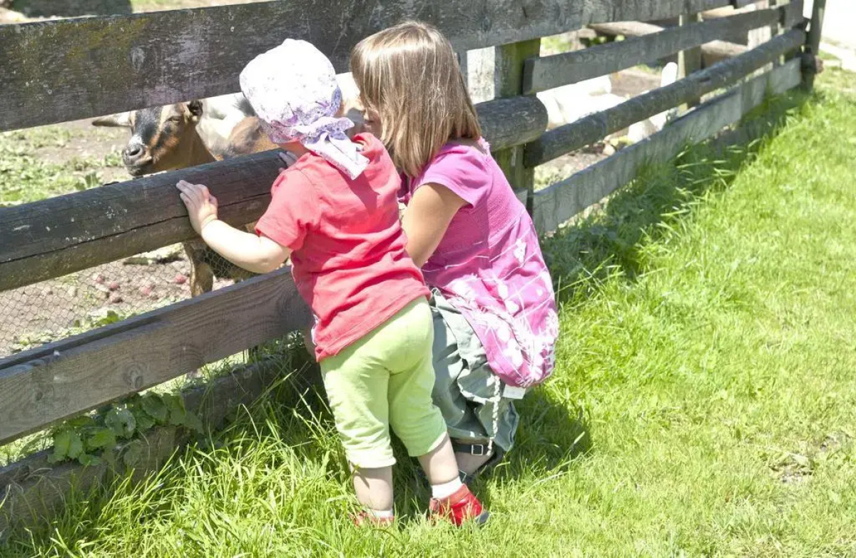 Hotel Restaurant Weßner Hof