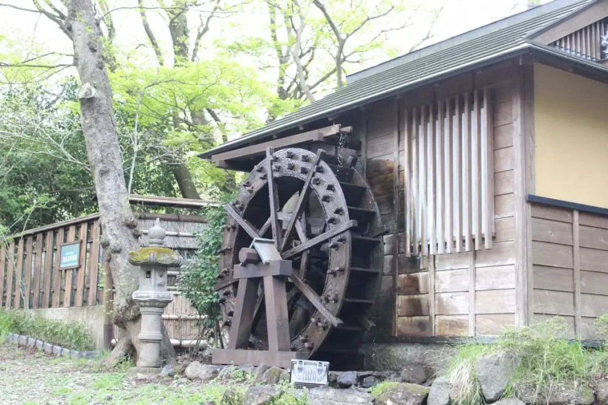 Hakone Guesthouse toi