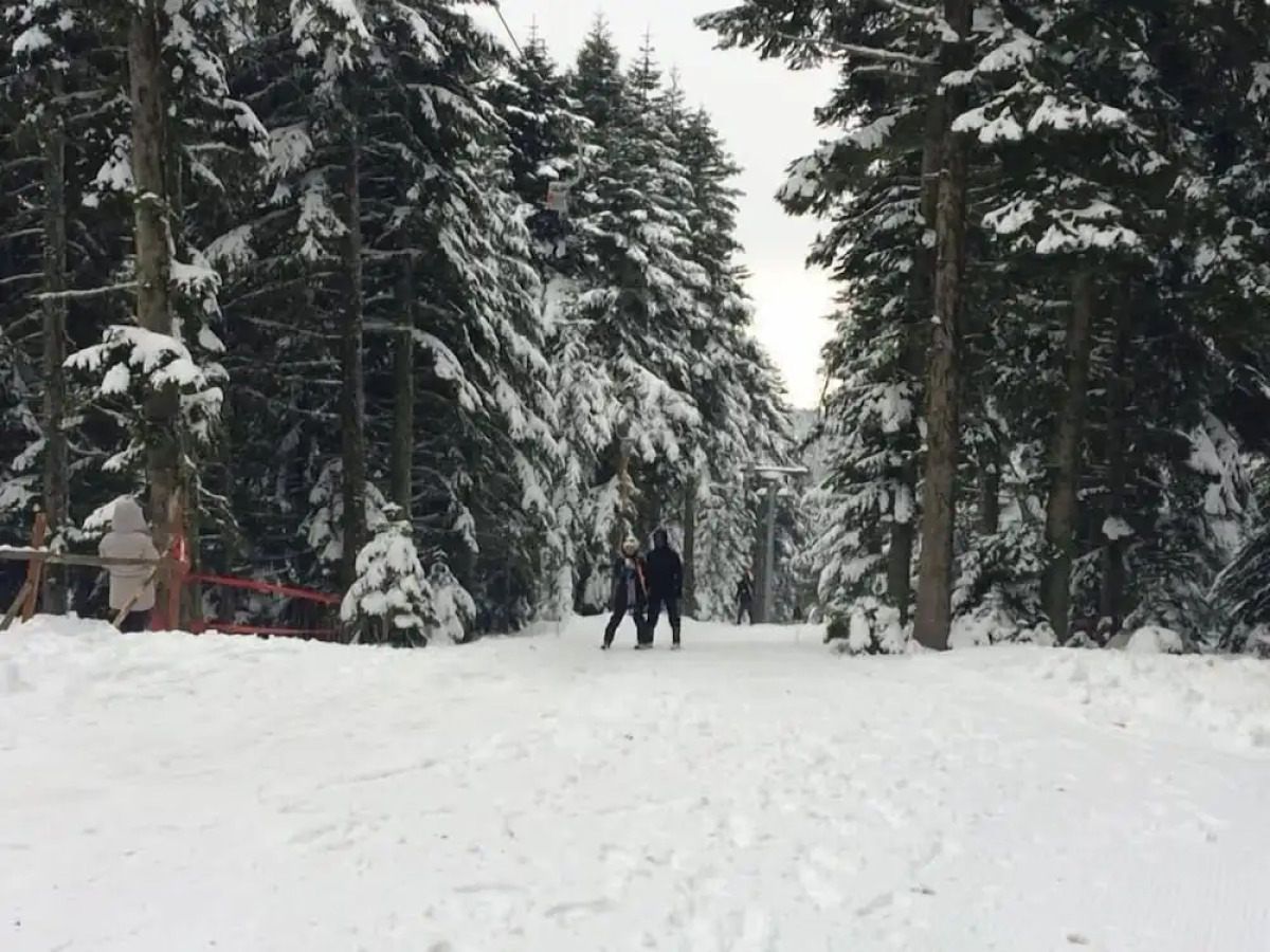 The Sign Esentepe Hotel & Ski Center