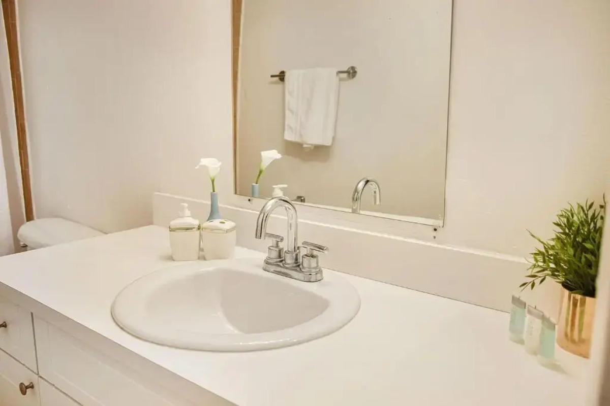 Coral Reef at Key Biscayne