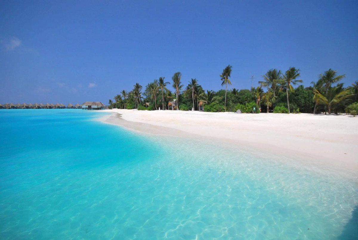 Safari Island Resort