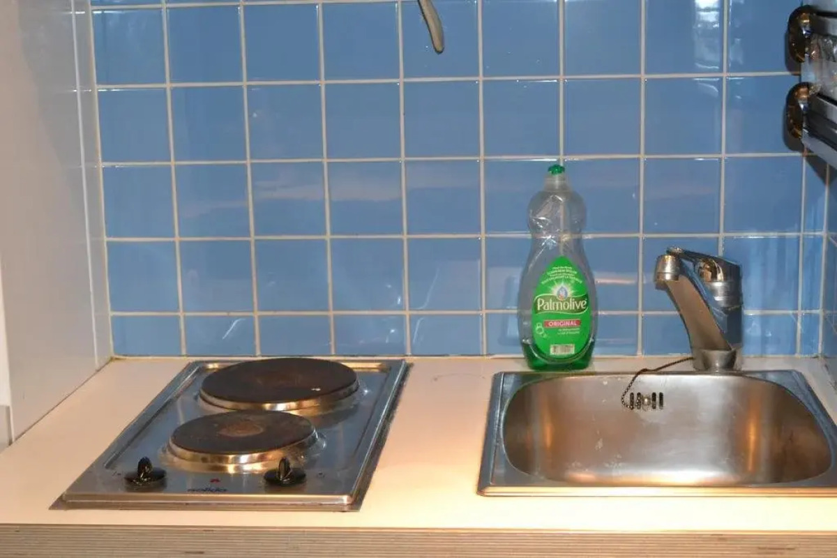 Goldfisch Apartment Vienna Opera House