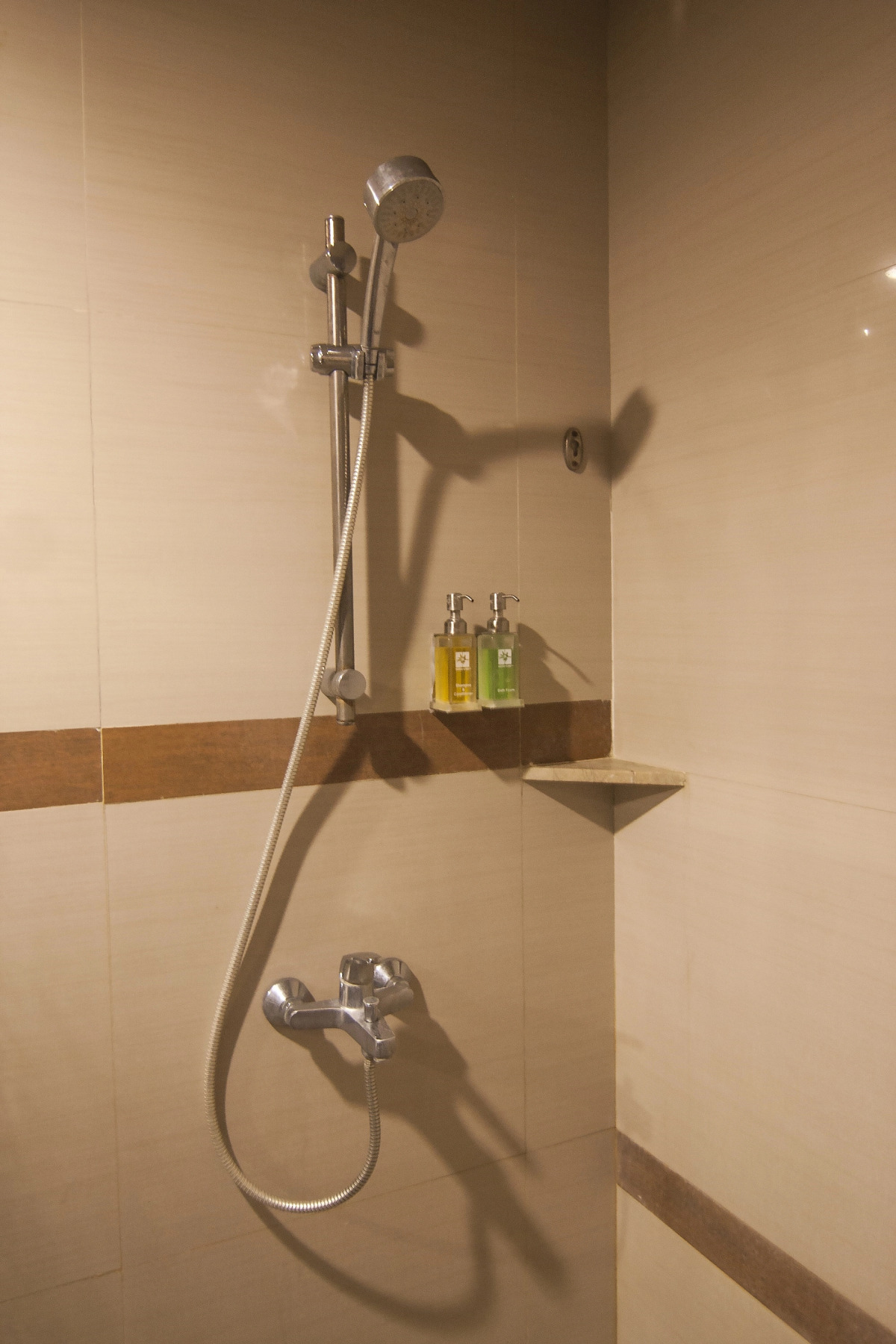 Swiss-Belhotel Rainforest