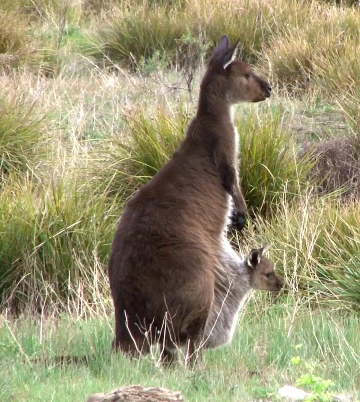 The Open House - Bed & Breakfast