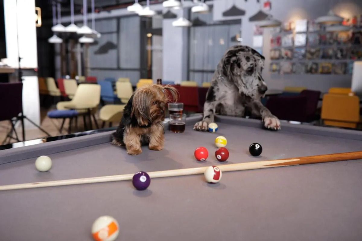 Link hotel & Hub By Dan Hotels