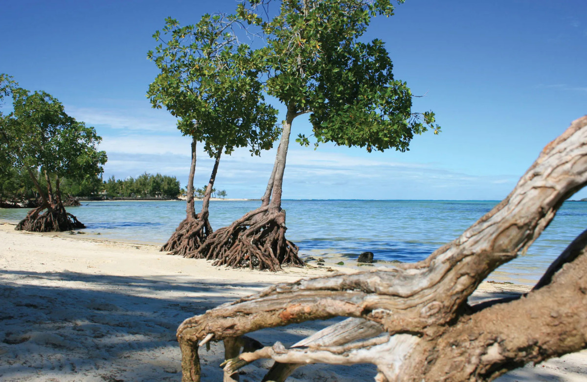 Jalsa Beach Hotel & Spa