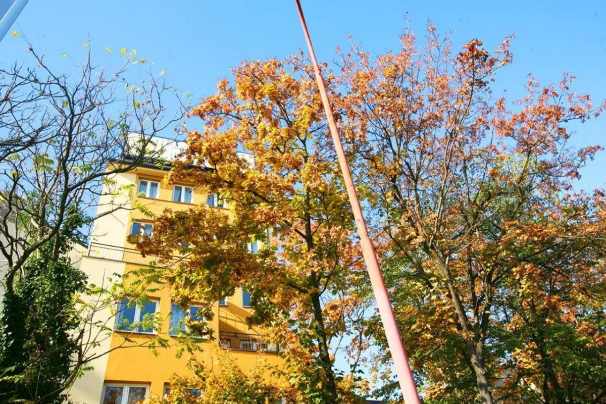 Freddie next to Mercury