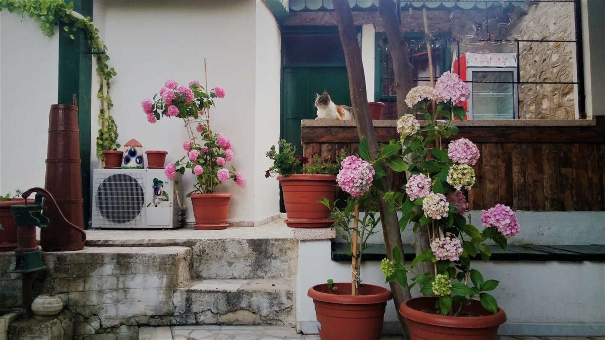 Garden Palace Boutique Hotel