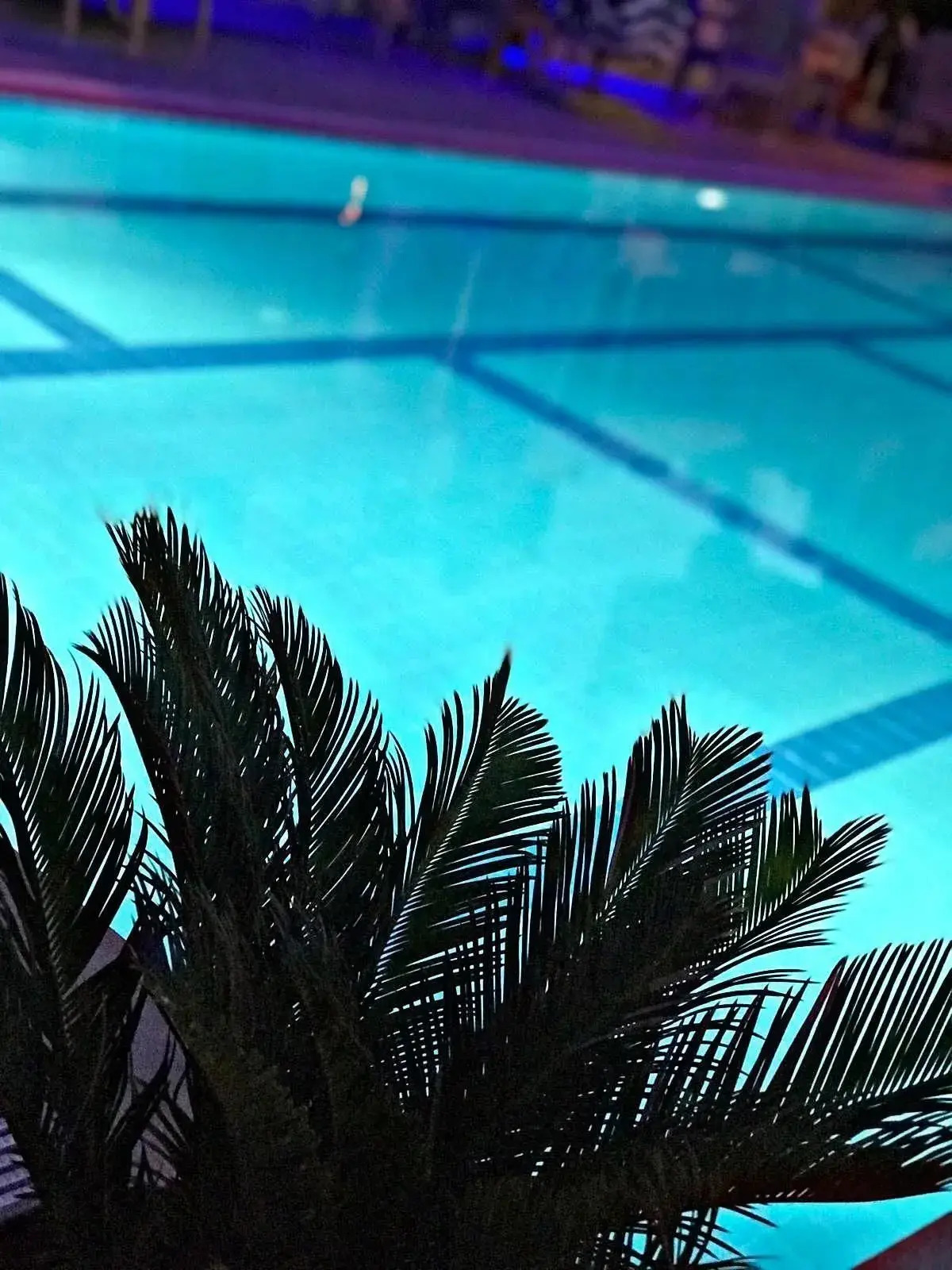 Lotus Boutique Hotel