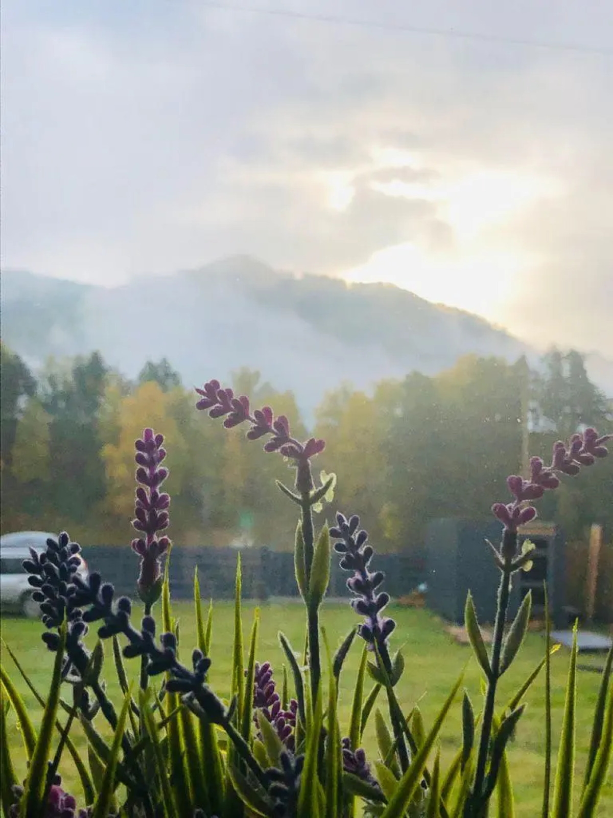 Шале "Ель&Форель"