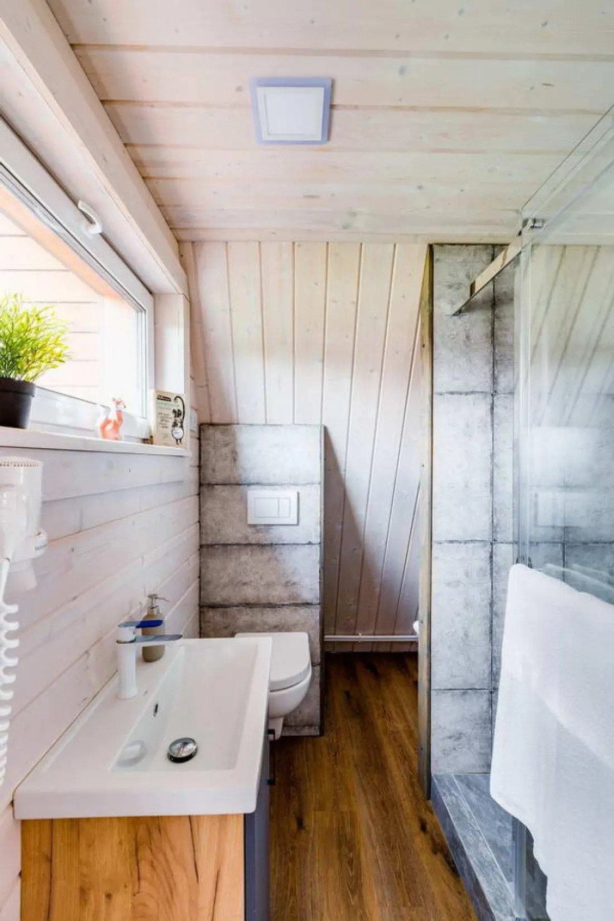 Лиса в шалаше