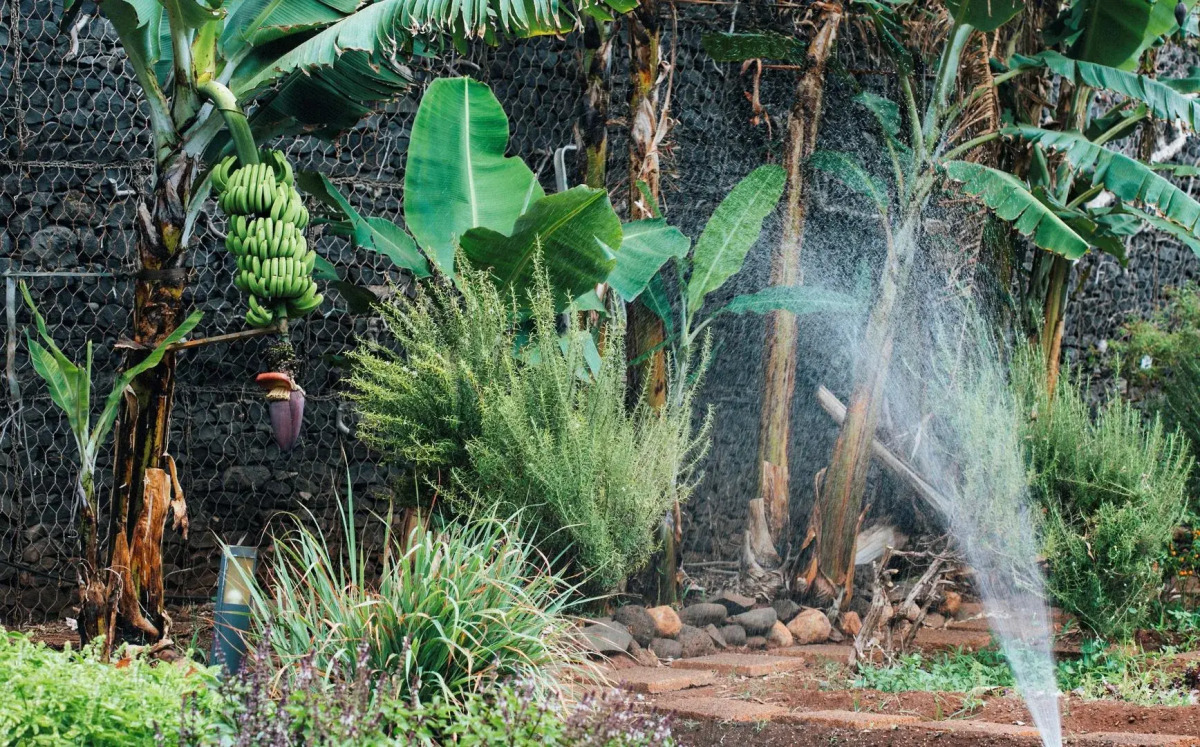 Отель The Views Oasis - Family Friendly