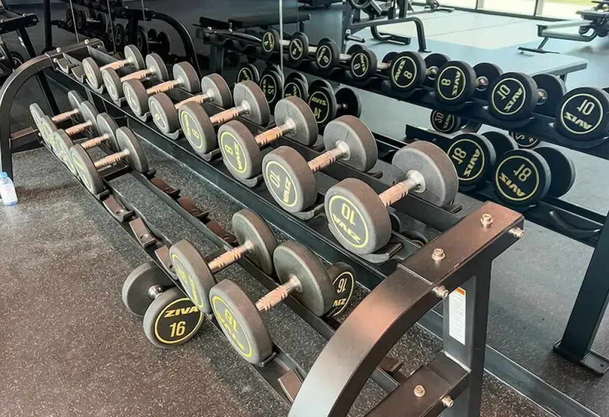 The Art of Living – Inspired Luxury Studio