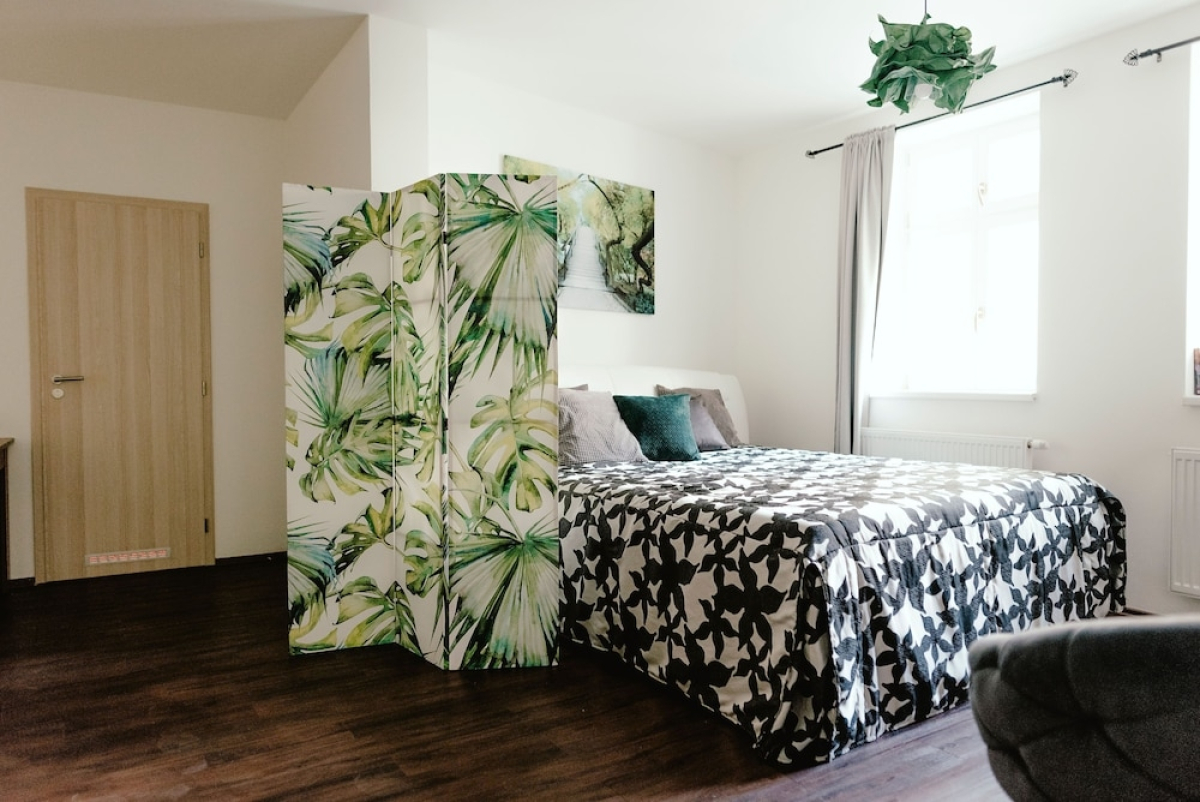 Apartments Zelny Trh I