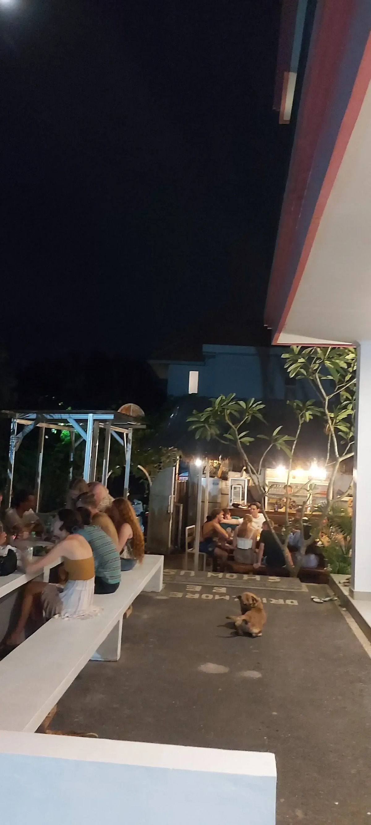 Margarita Surf Hostel Canggu