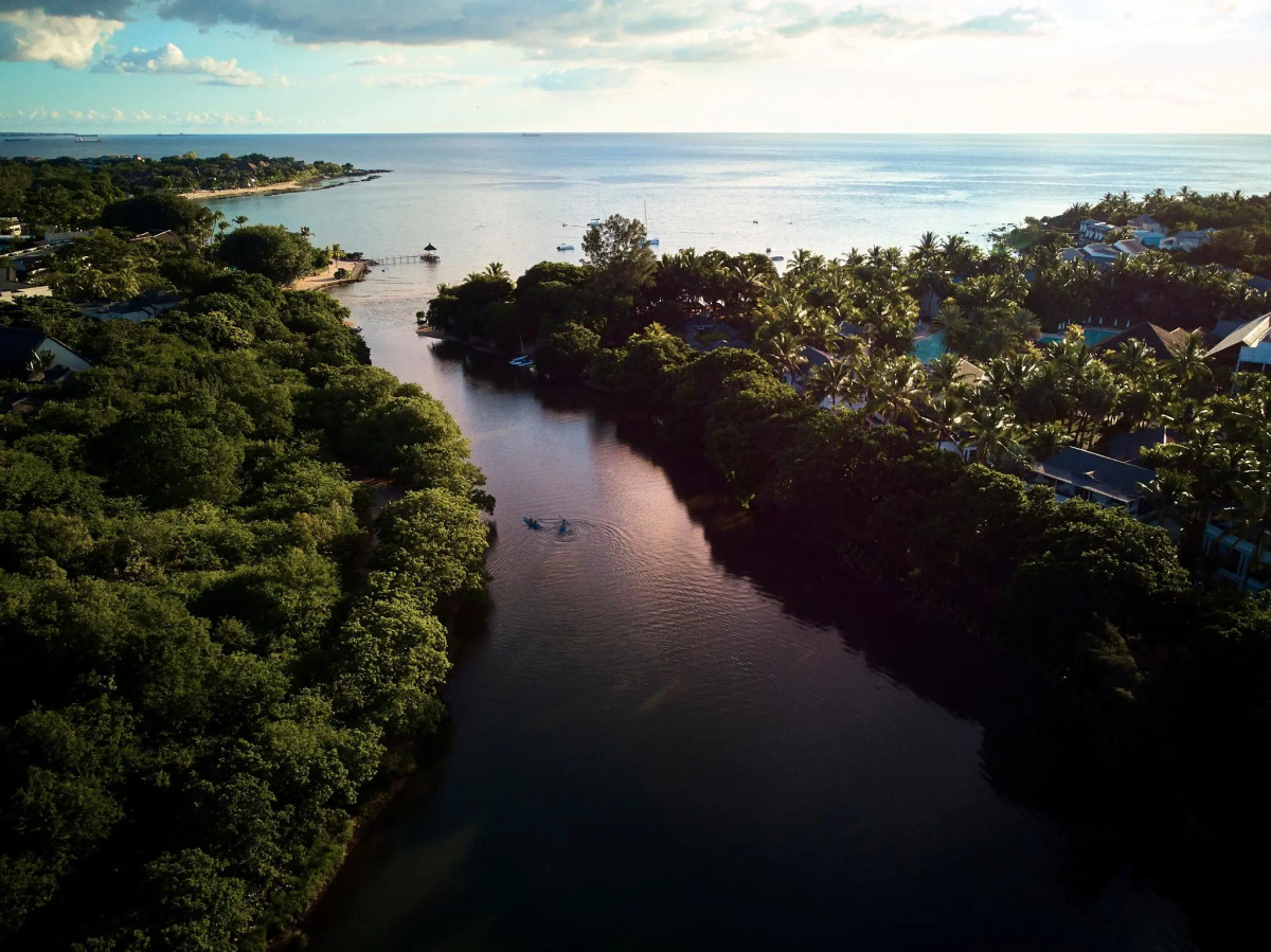 The Ravenala Attitude