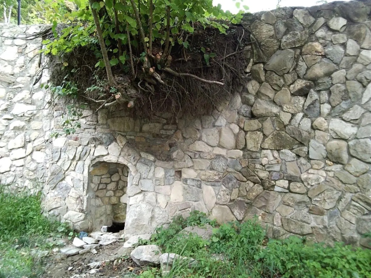 Forest Club (Форест Клаб)