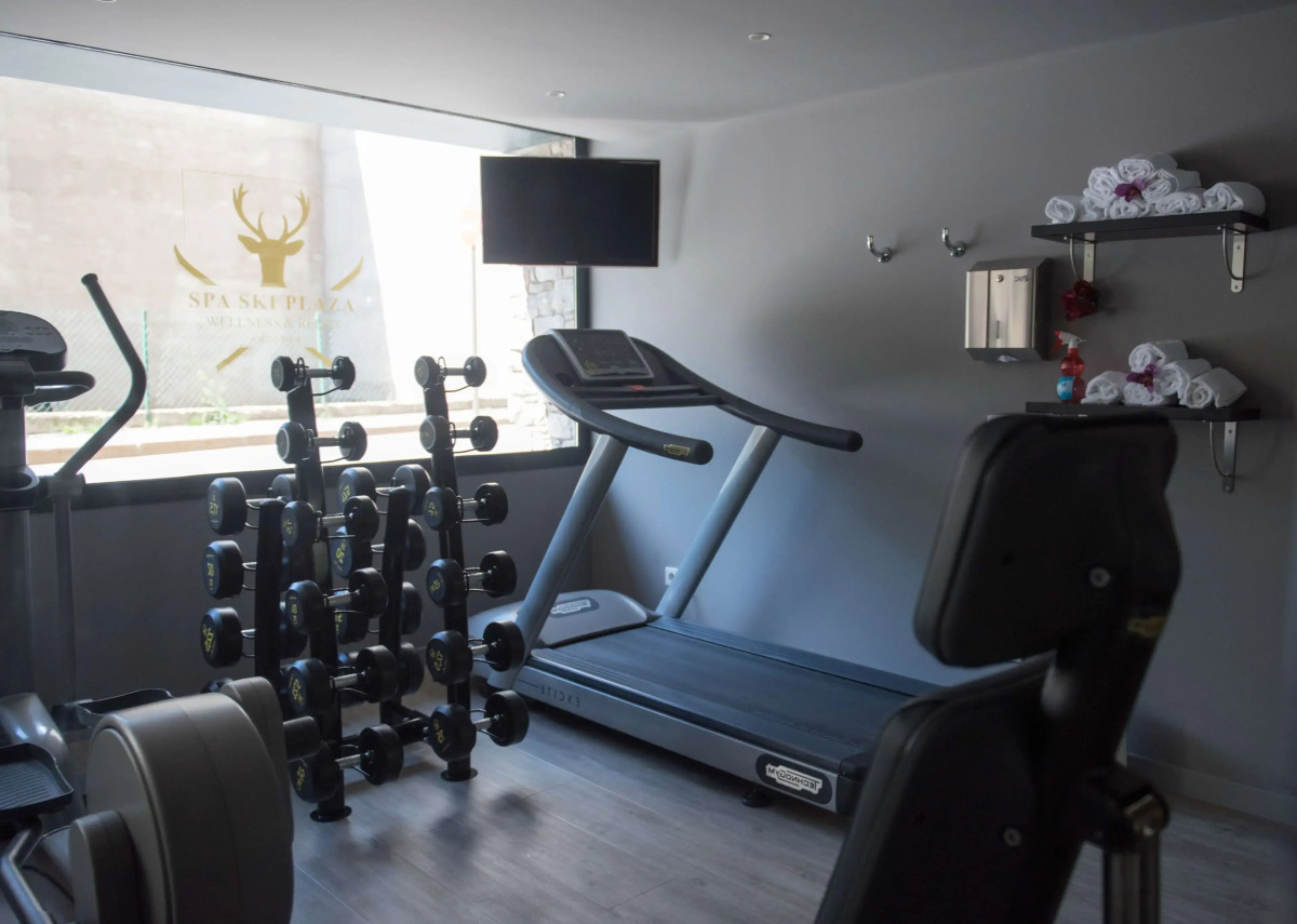 Ski Plaza Hotel & Wellness