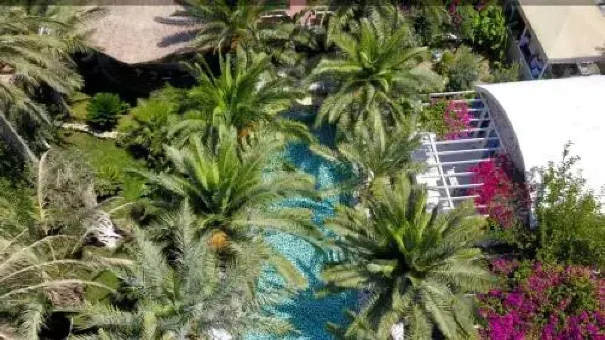 Flamingo Hotel & Spa - Pet Friendly