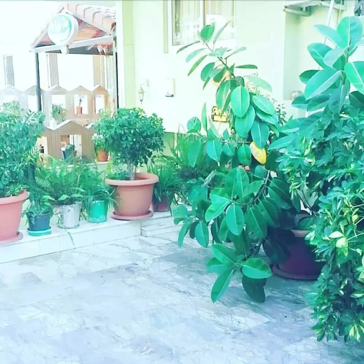 Alibaba Hotel Marmaris