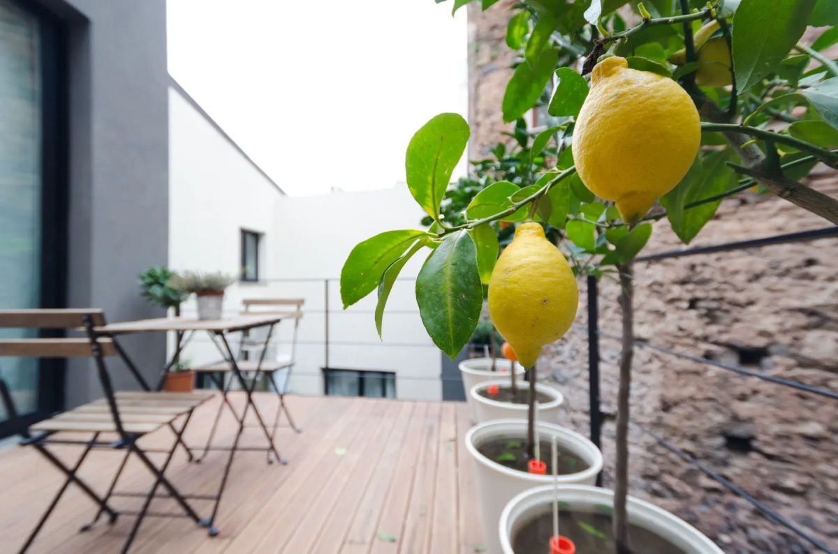 Pietranera Apartments