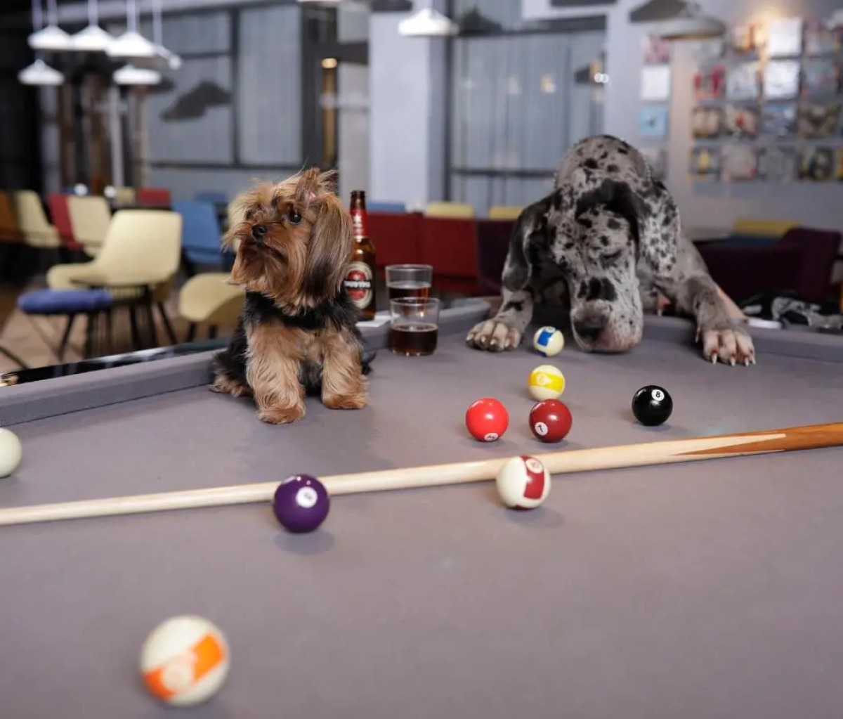 Link hotel & Hub By Dan Hotels