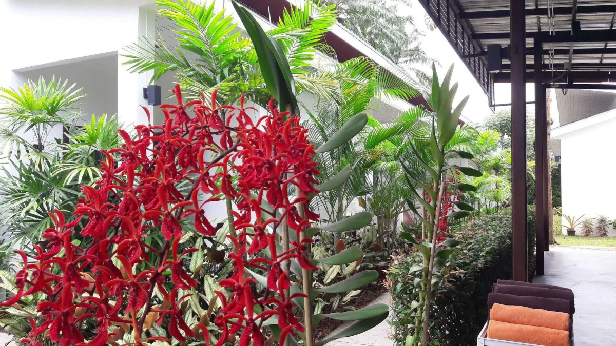 The Fong Krabi Resort