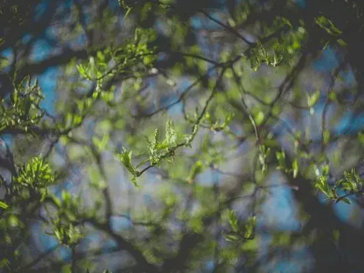 Yihai blue sky apartment (Lingshui Coral Sea store)