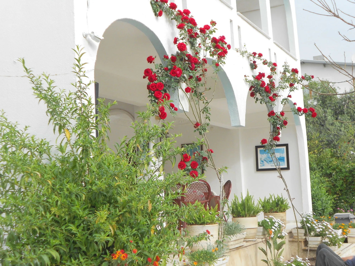 Garden Prizma Pension