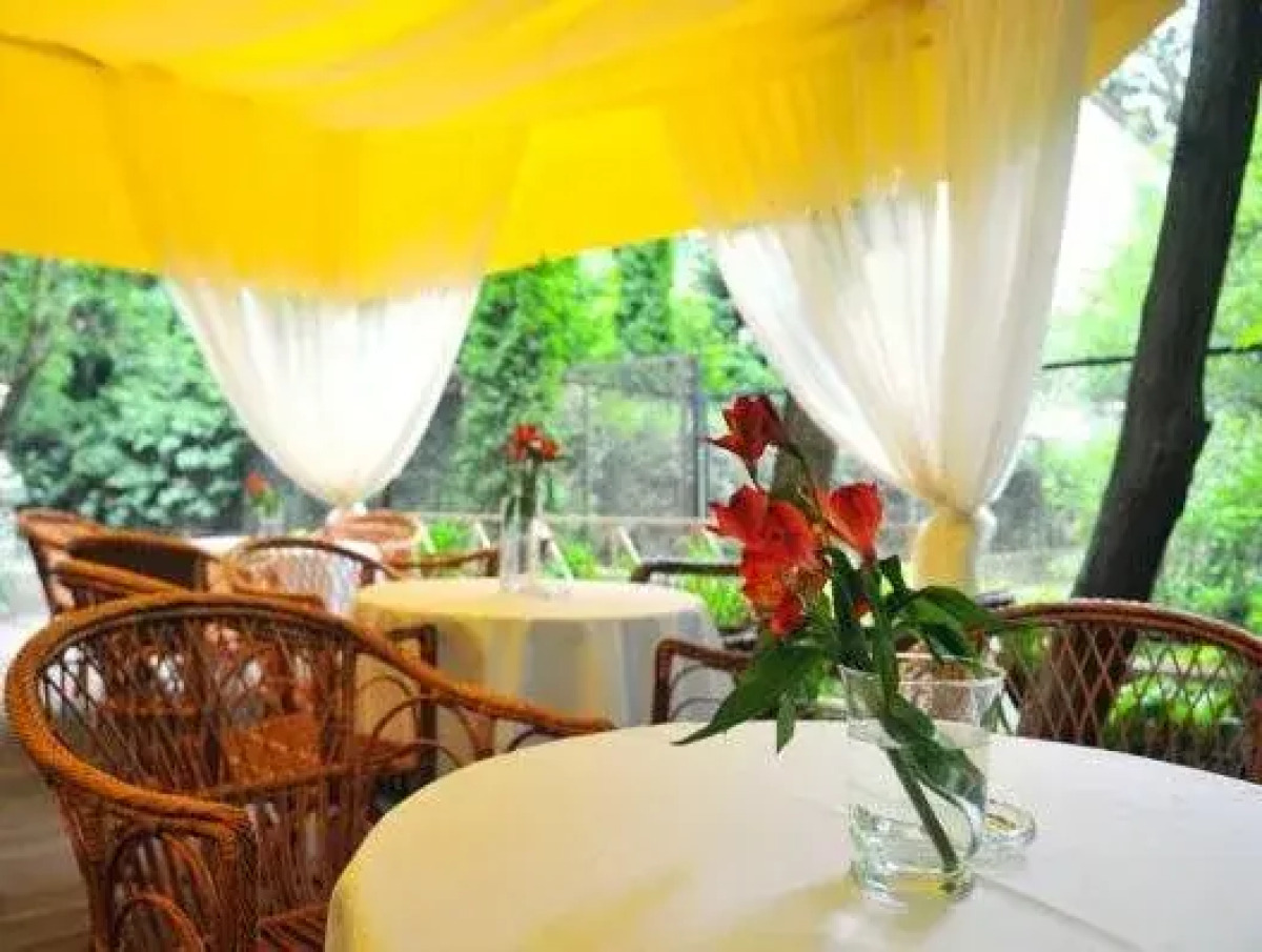 Отель Lion’s Castle