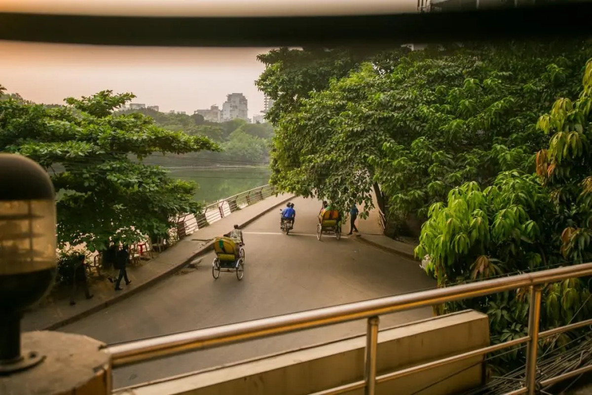 Hotel Tropical Daisy